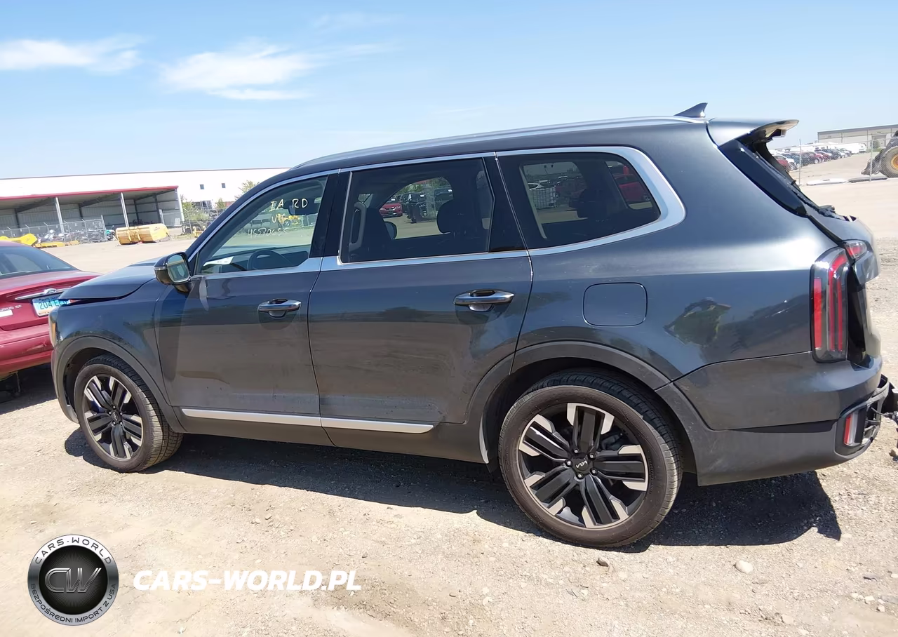 2023 Kia Telluride Sx Prestige VIN:5XYP5DGC7PG377579 - 14