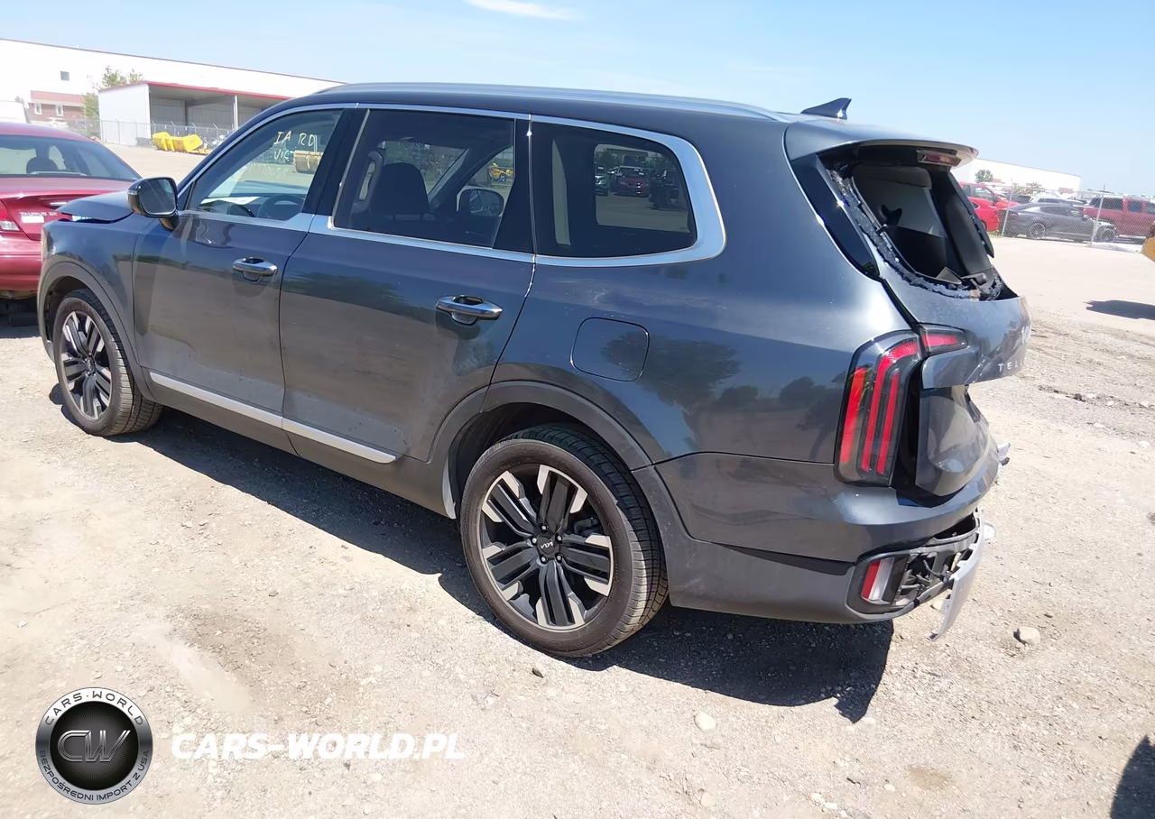 2023 Kia Telluride Sx Prestige VIN:5XYP5DGC7PG377579 - 3