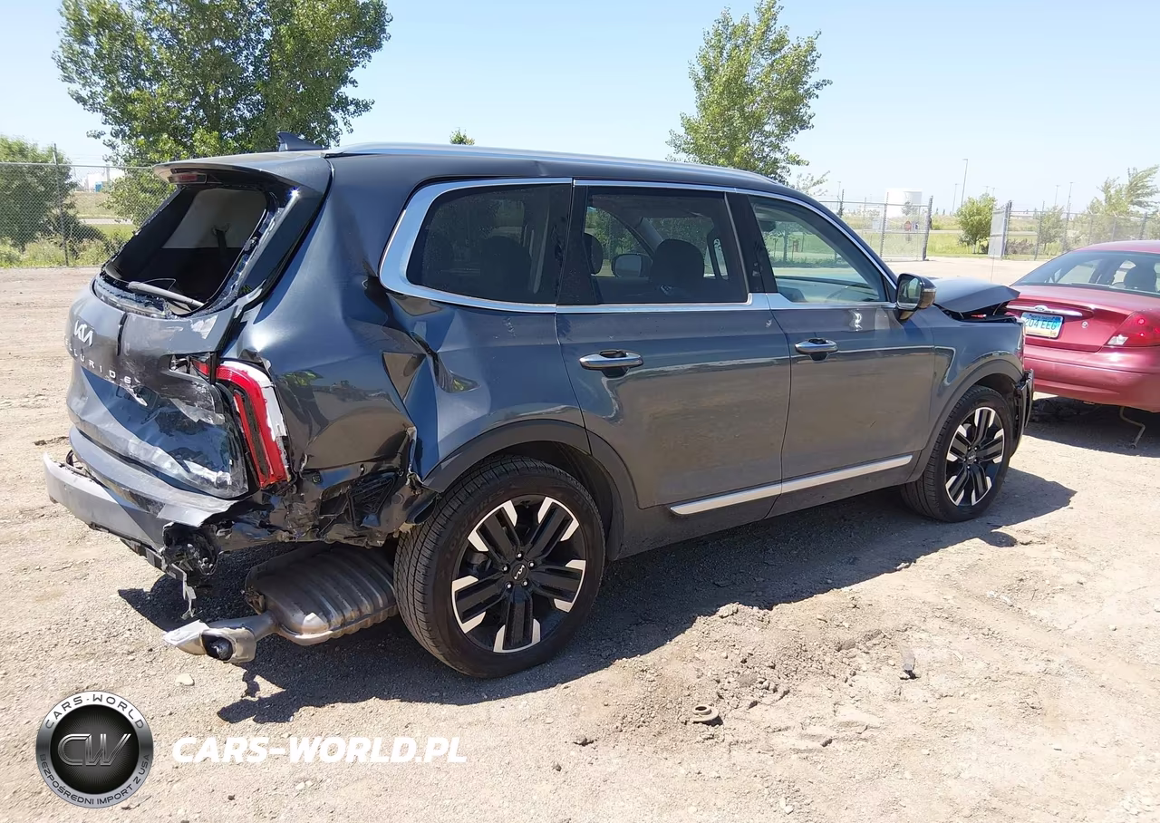 2023 Kia Telluride Sx Prestige VIN:5XYP5DGC7PG377579 - 4