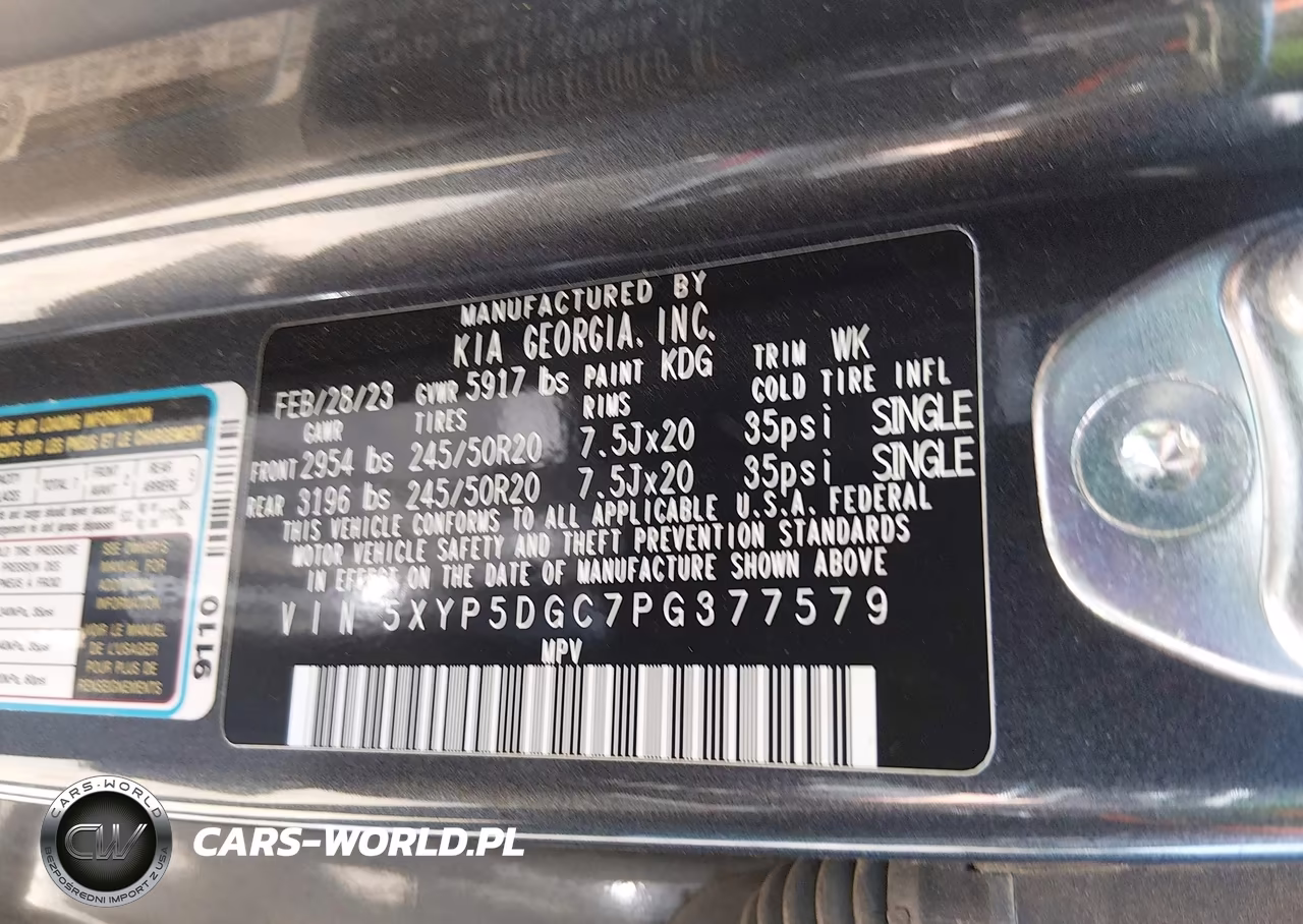 2023 Kia Telluride Sx Prestige VIN:5XYP5DGC7PG377579 - 9