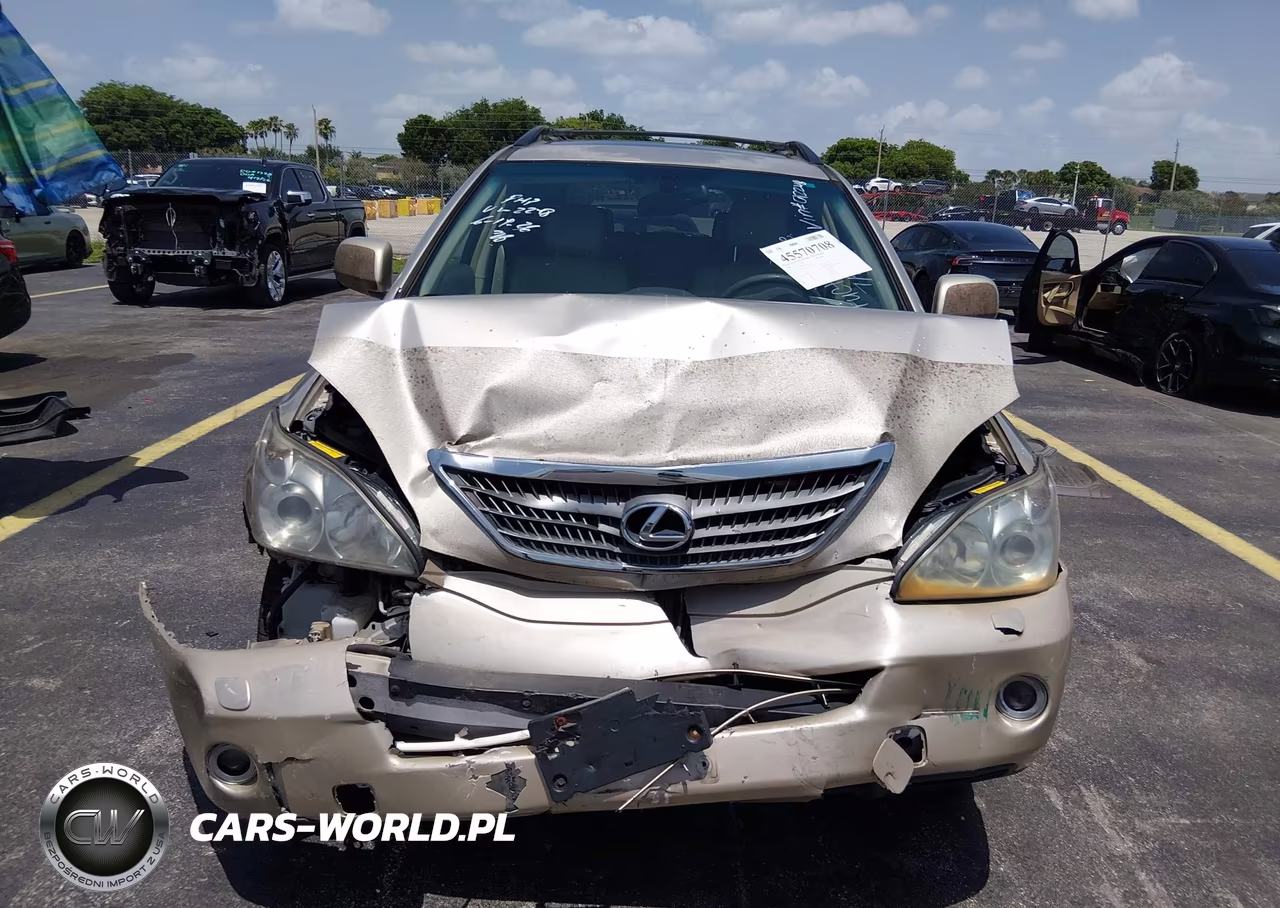 2006 Lexus Rx 400H VIN:JTJHW31U360012248 - 12
