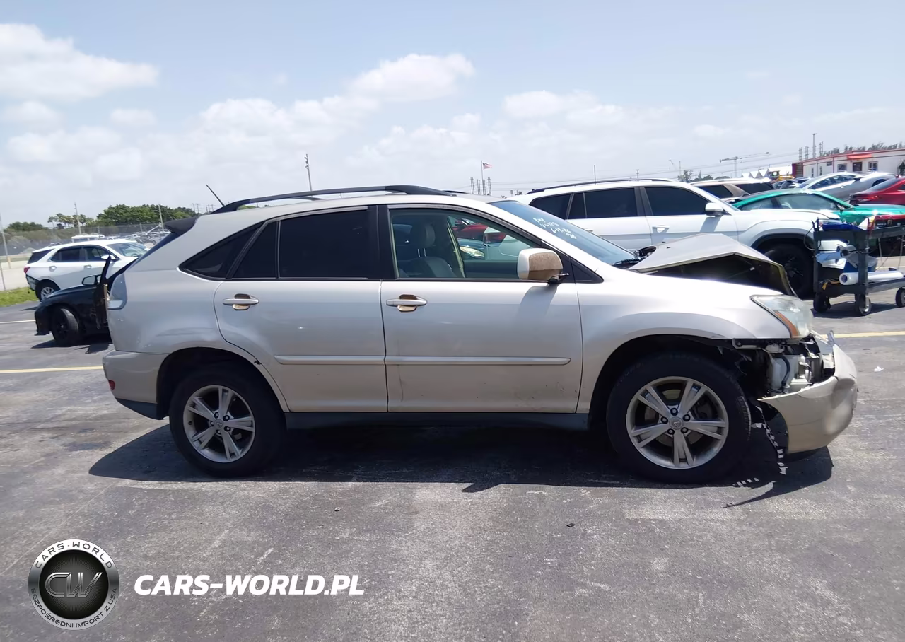 2006 Lexus Rx 400H VIN:JTJHW31U360012248 - 13
