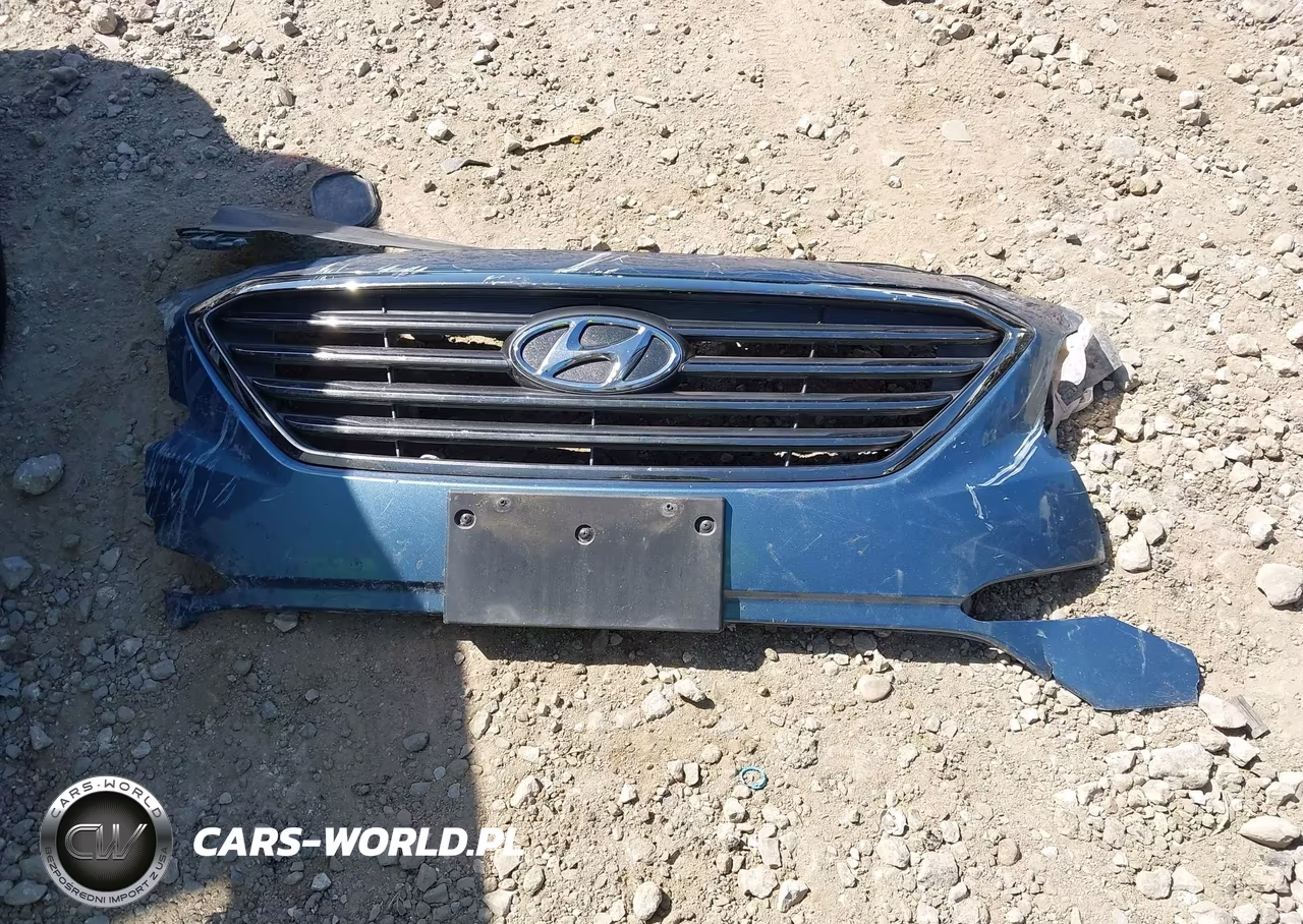 2016 Hyundai Sonata Eco VIN:5NPE24AA1GH436173 - 12