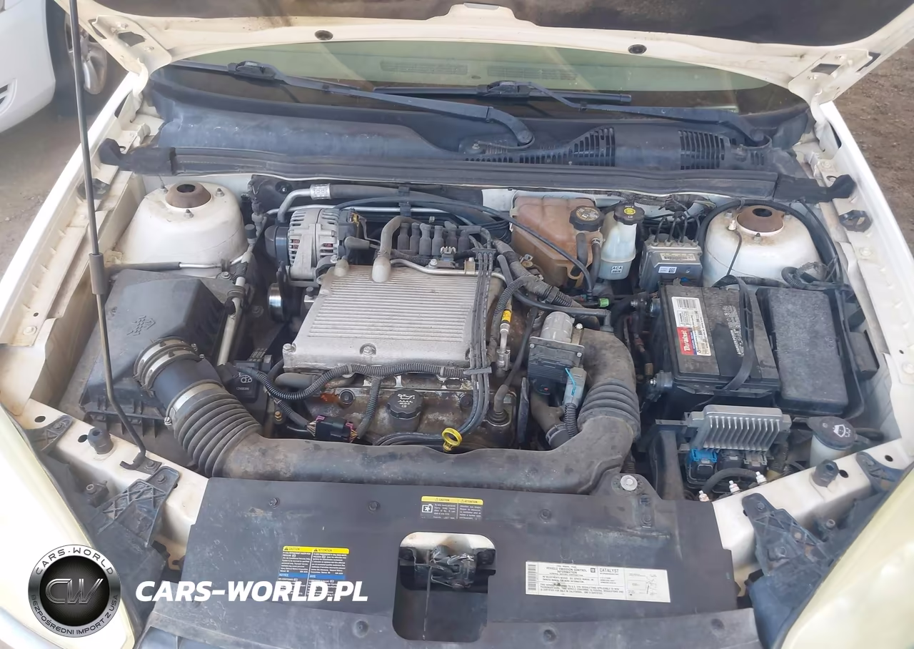 2004 Chevrolet Malibu Ls VIN:1G1ZT54884F163213 - 10