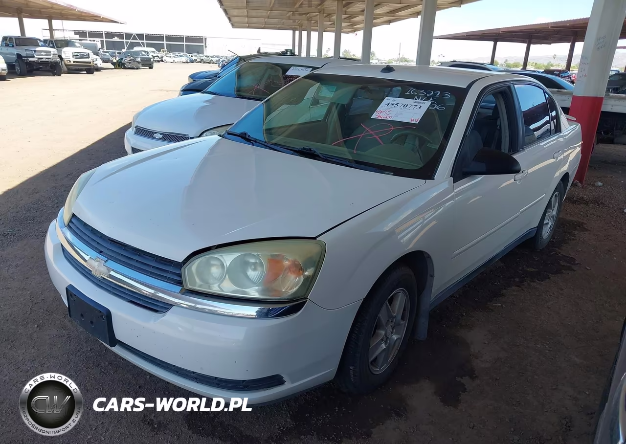 2004 Chevrolet Malibu Ls VIN:1G1ZT54884F163213 - 2