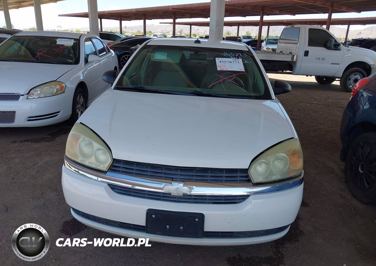 2004 Chevrolet Malibu Ls VIN:1G1ZT54884F163213 - 6