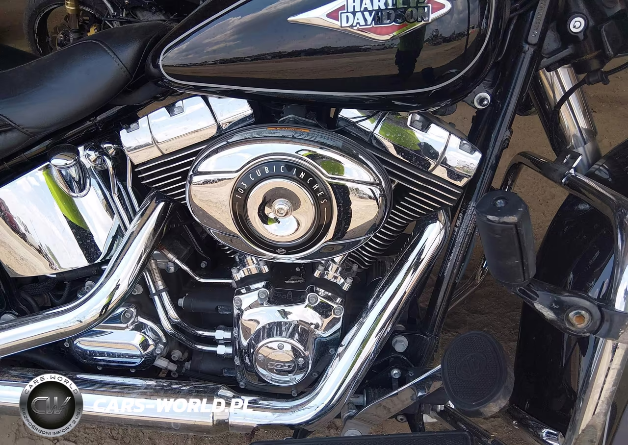 2013 Harley-Davidson Flstc Heritage Softail Classic VIN:1HD1BWV13DB053030 - 8