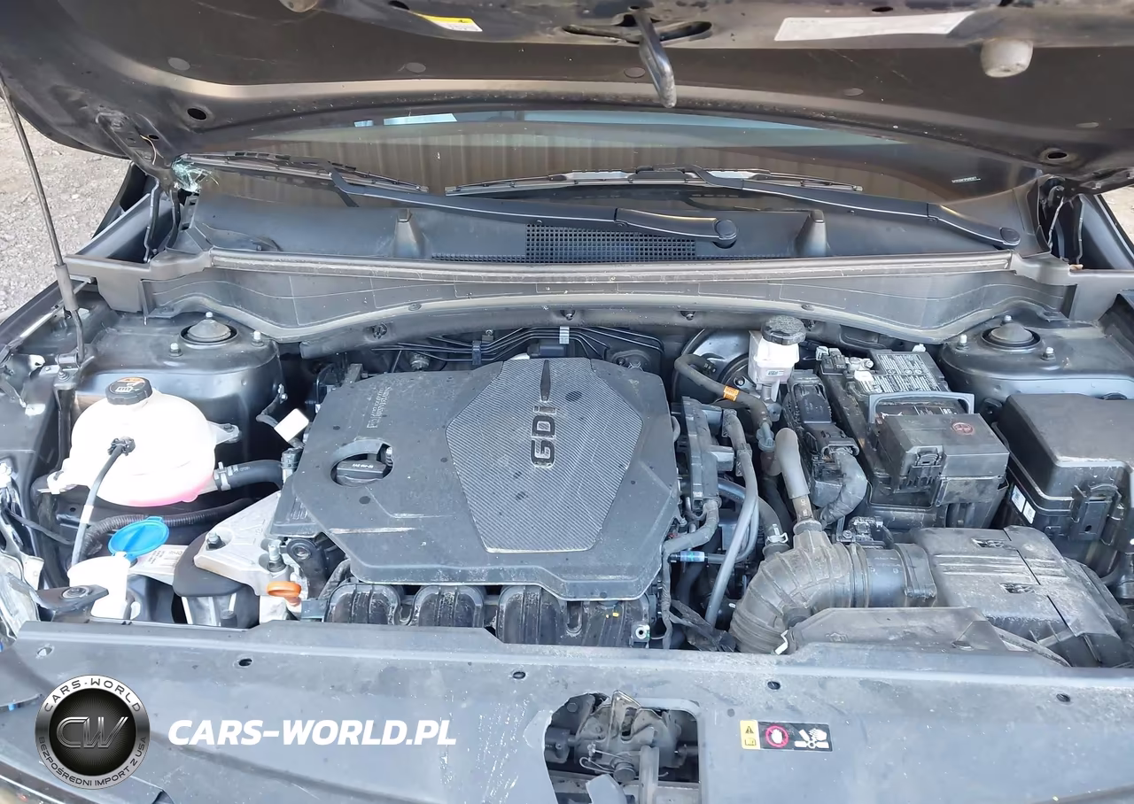 2023 Kia Sportage Ex VIN:5XYK33AF5PG085877 - 10