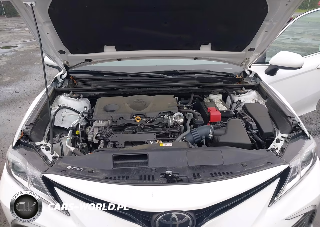2024 Toyota Camry Le VIN:4T1C11AK1RU847756 - 10
