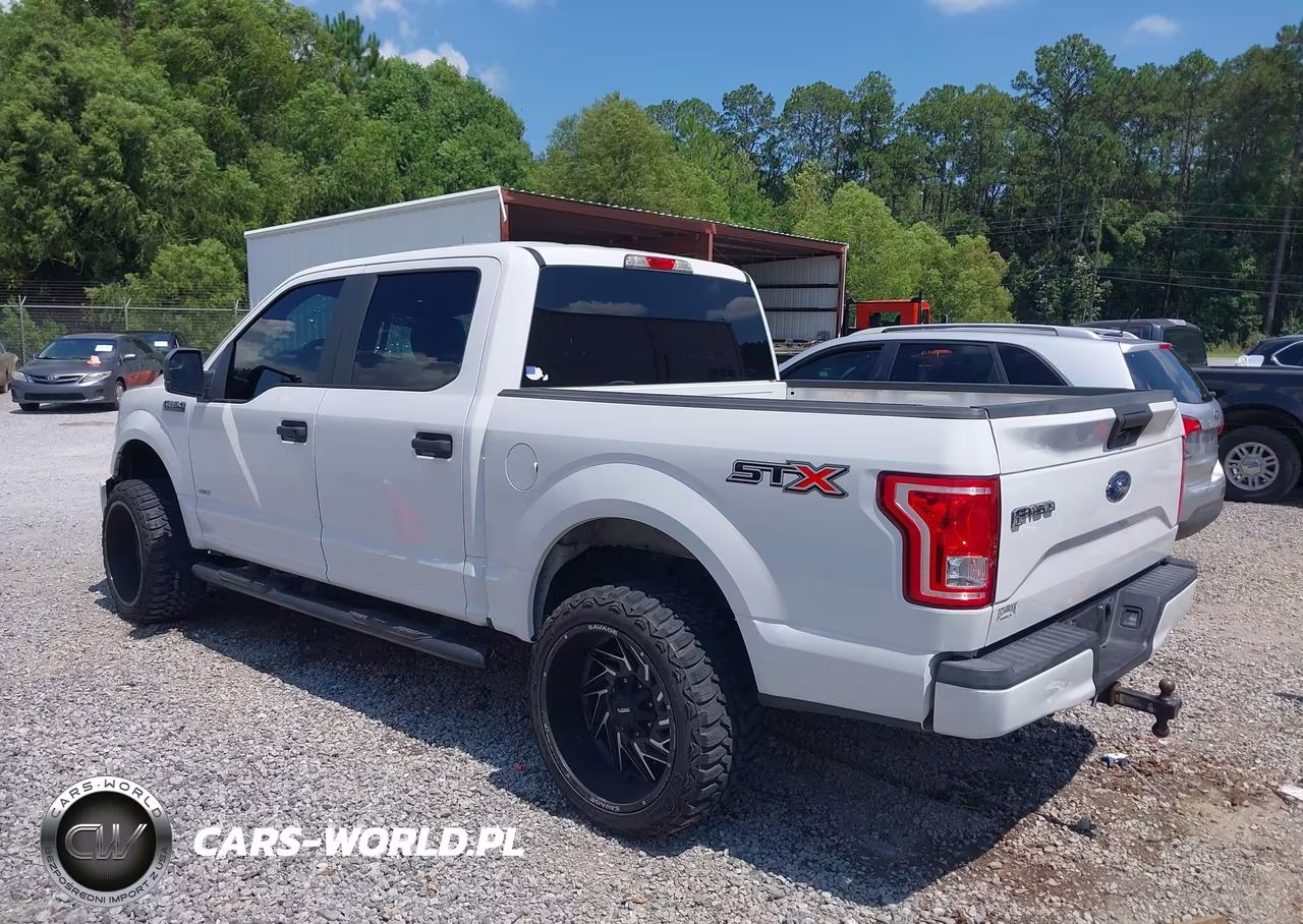 2017 Ford F-150 Lariat-Xl-Xlt VIN:1FTEW1CP9HFC80402 - 3