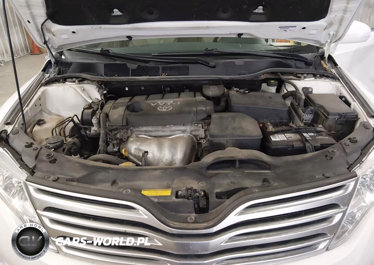 2009 Toyota Venza VIN:4T3ZE11A09U006766 - 10