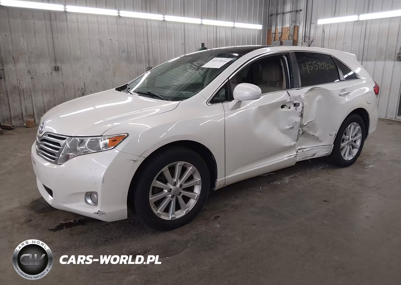 2009 Toyota Venza VIN:4T3ZE11A09U006766 - 2