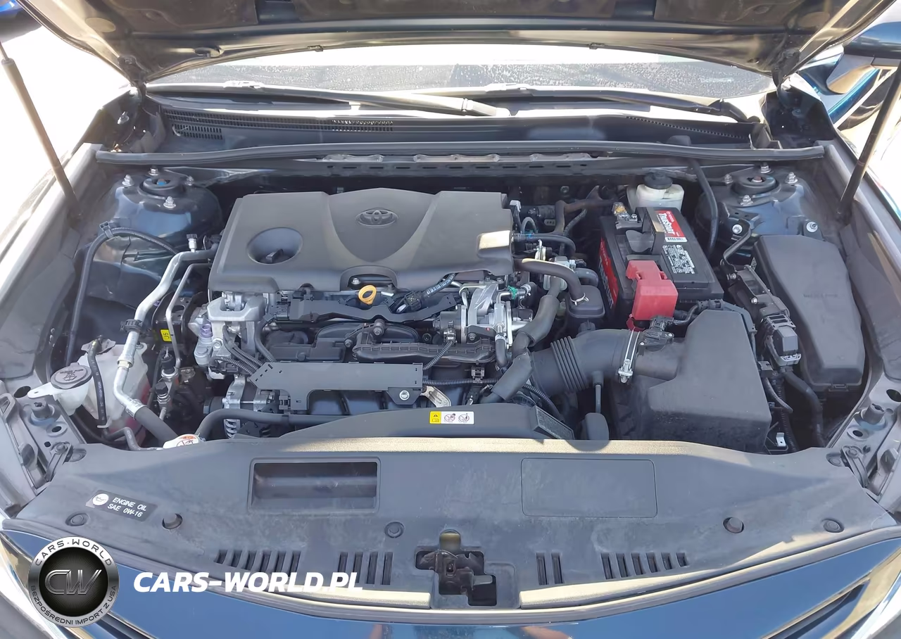 2018 Toyota Camry Se VIN:4T1B11HK7JU653139 - 10