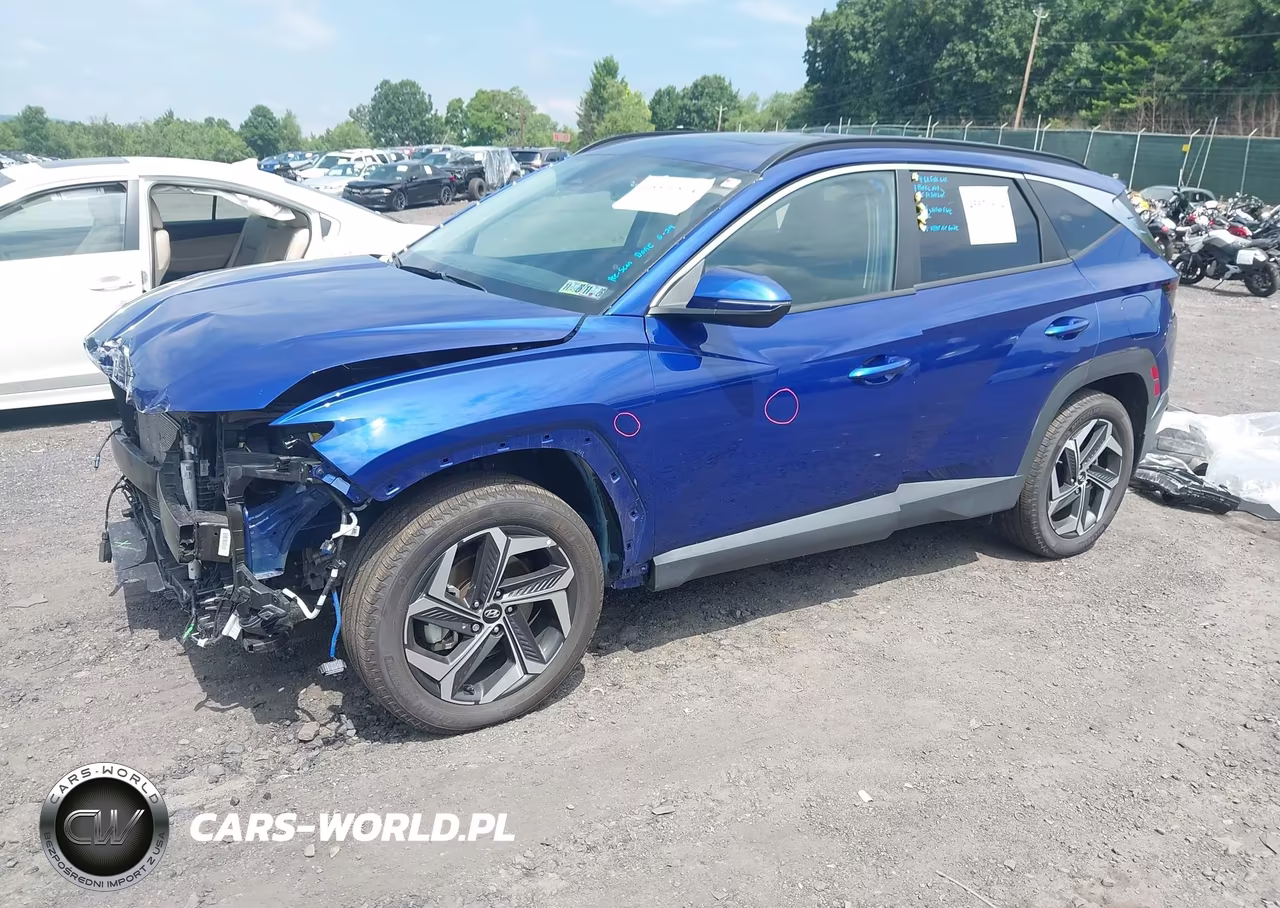 2024 Hyundai Tucson Sel VIN:5NMJFCDE1RH348817 - 2