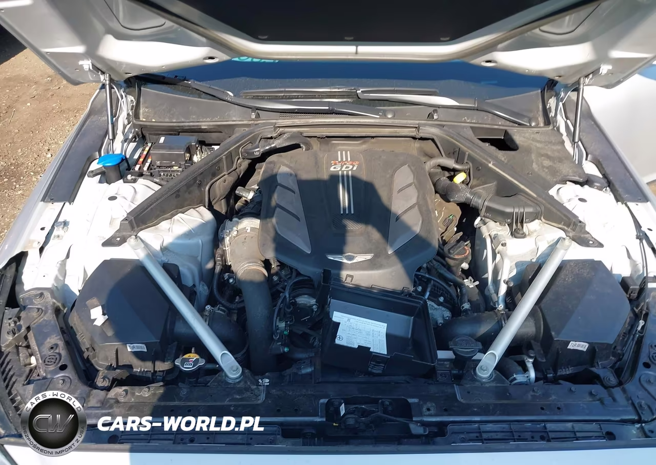 2017 Genesis G90 3.3T Premium VIN:KMHG34JA6HU034013 - 10