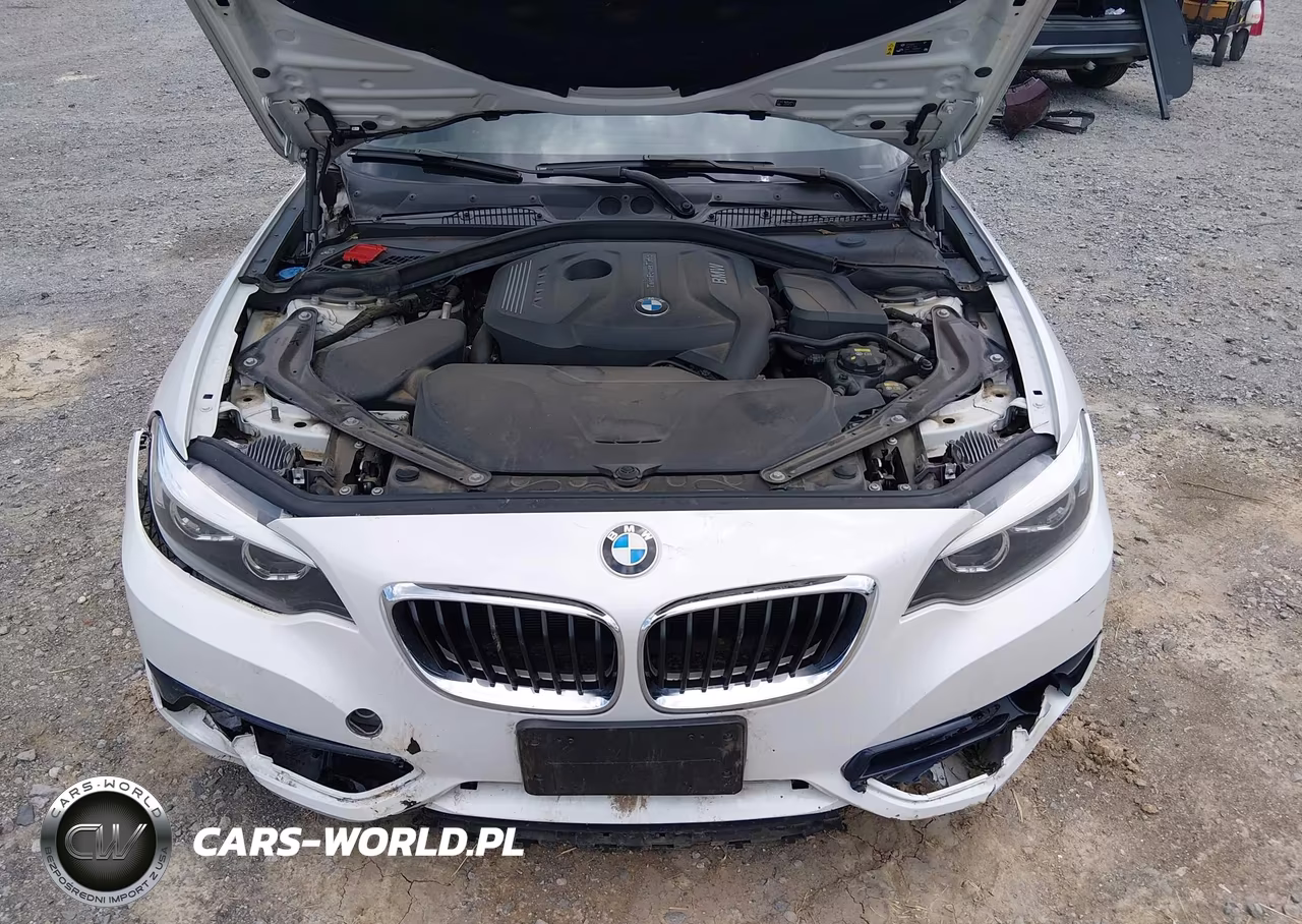 2018 BMW 230I VIN:WBA2M7C52JVA97588 - 10