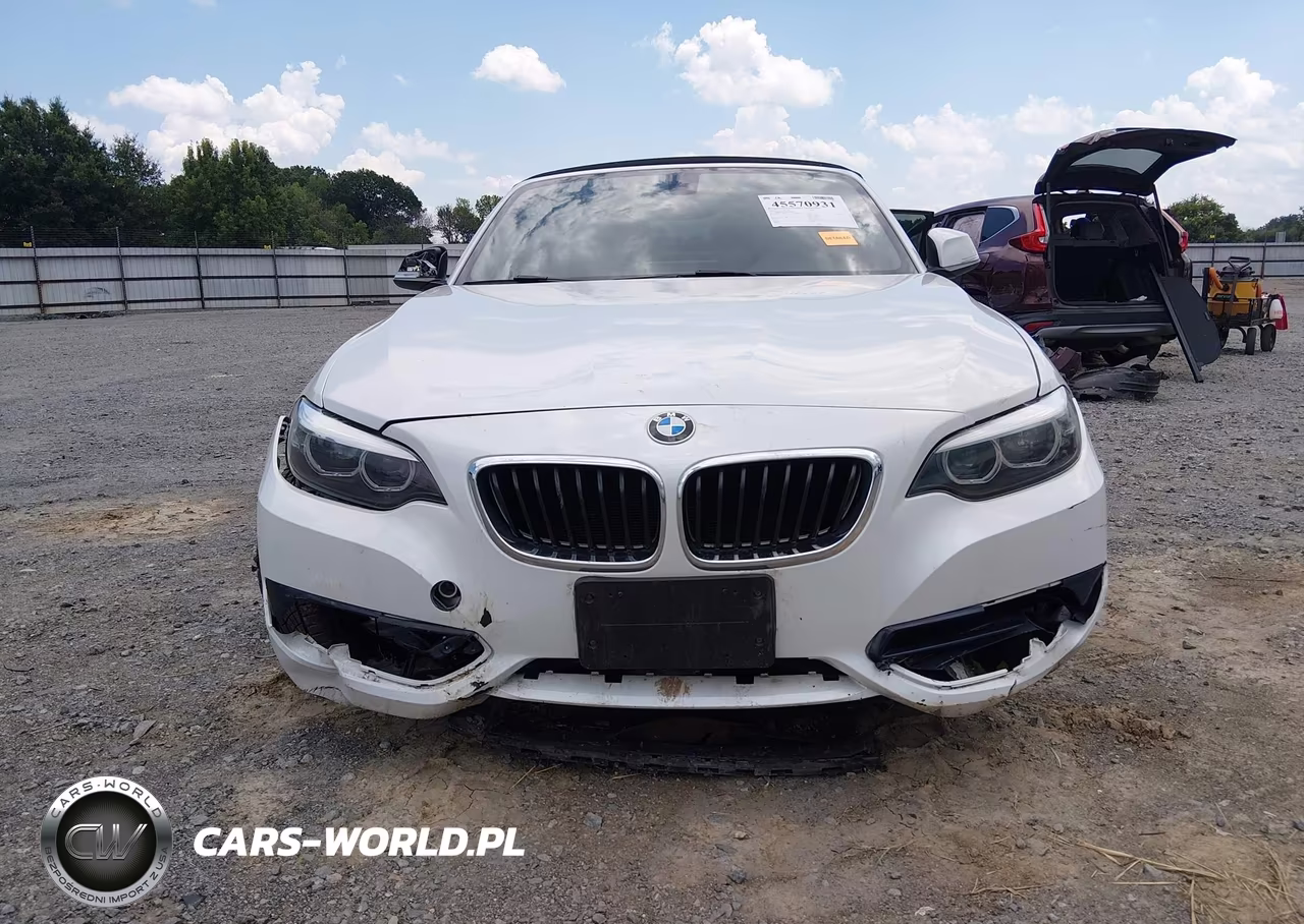 2018 BMW 230I VIN:WBA2M7C52JVA97588 - 12