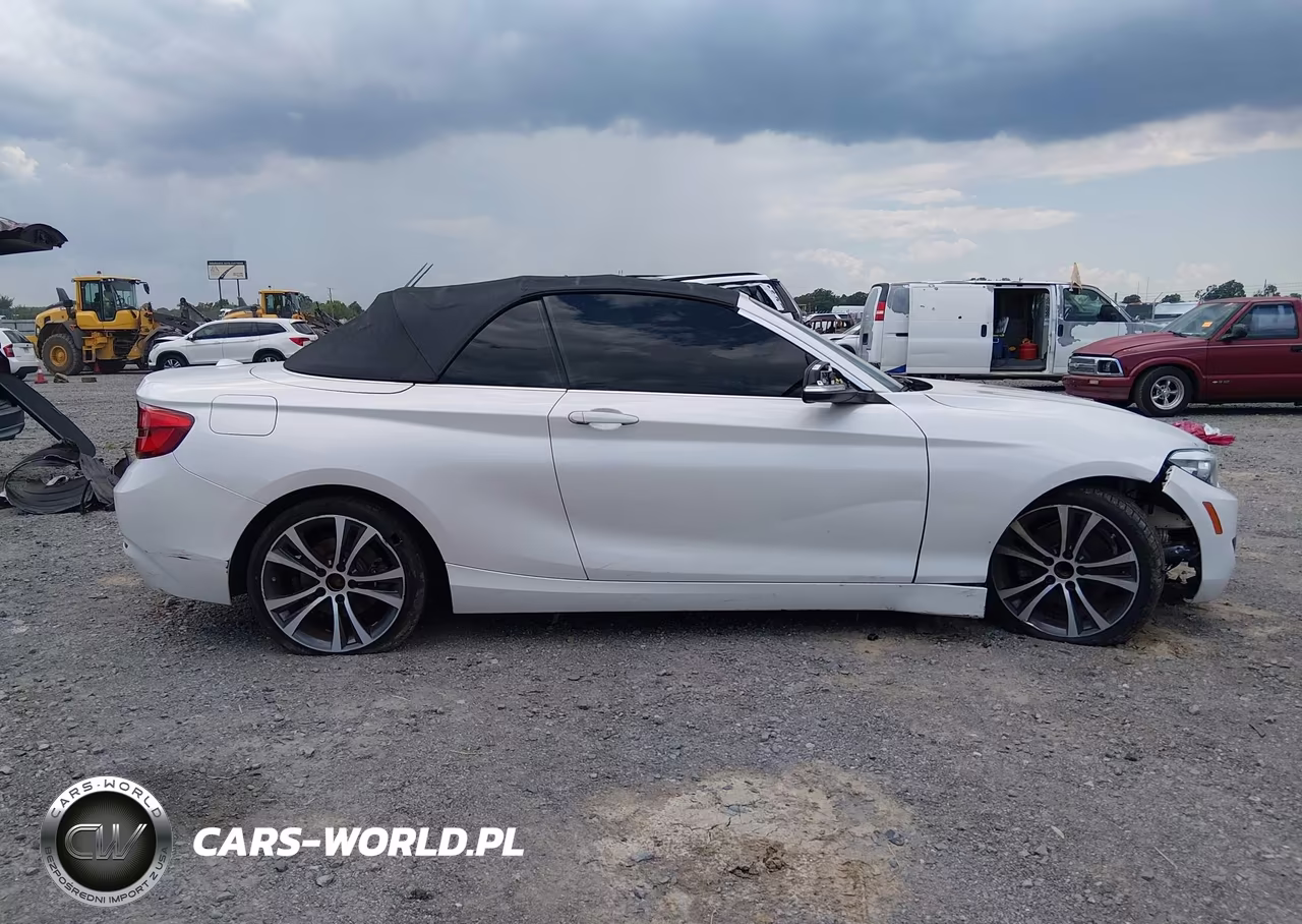 2018 BMW 230I VIN:WBA2M7C52JVA97588 - 13