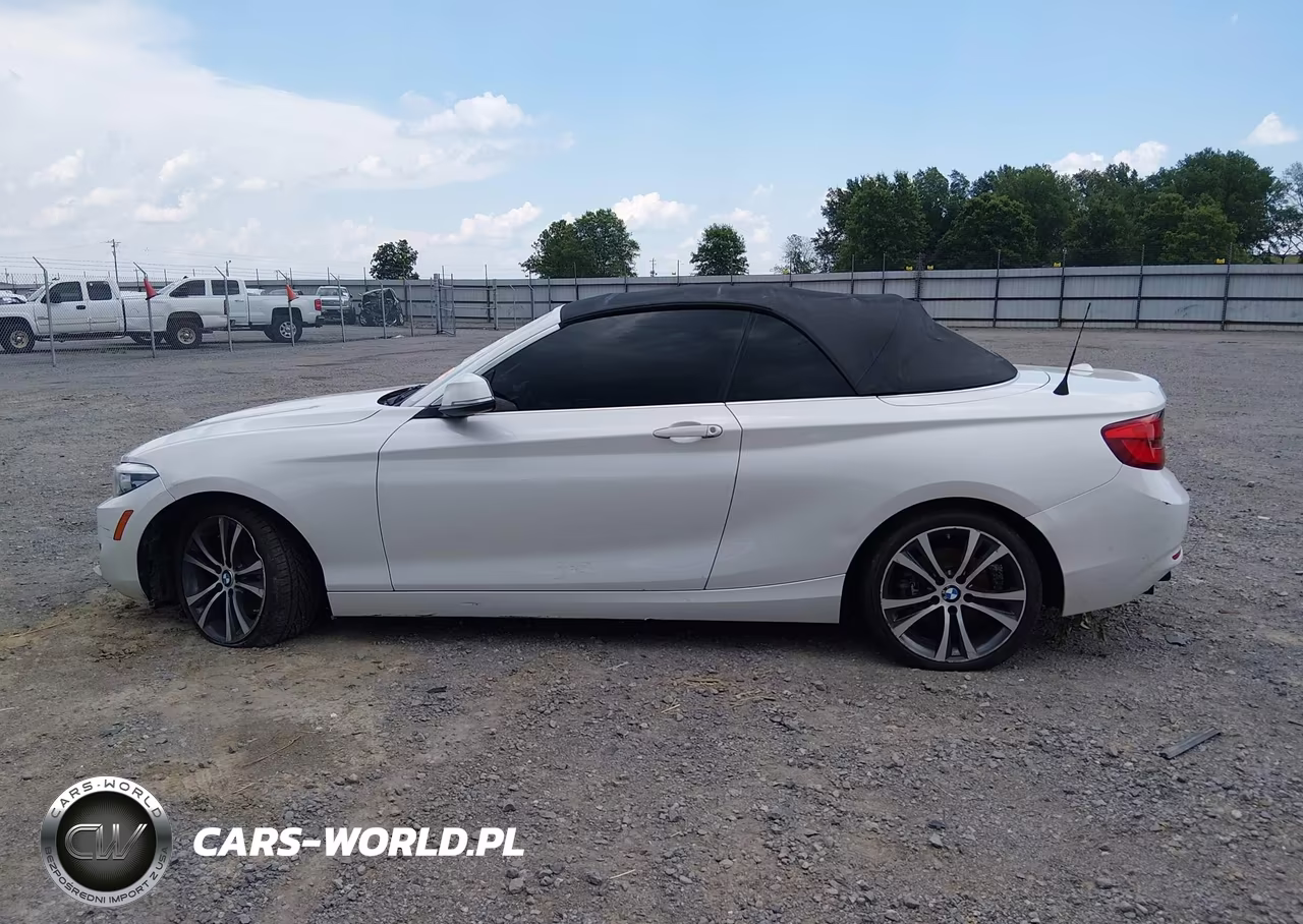 2018 BMW 230I VIN:WBA2M7C52JVA97588 - 14