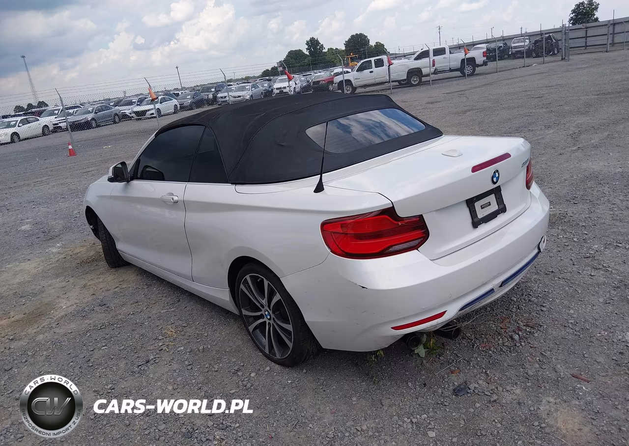 2018 BMW 230I VIN:WBA2M7C52JVA97588 - 3