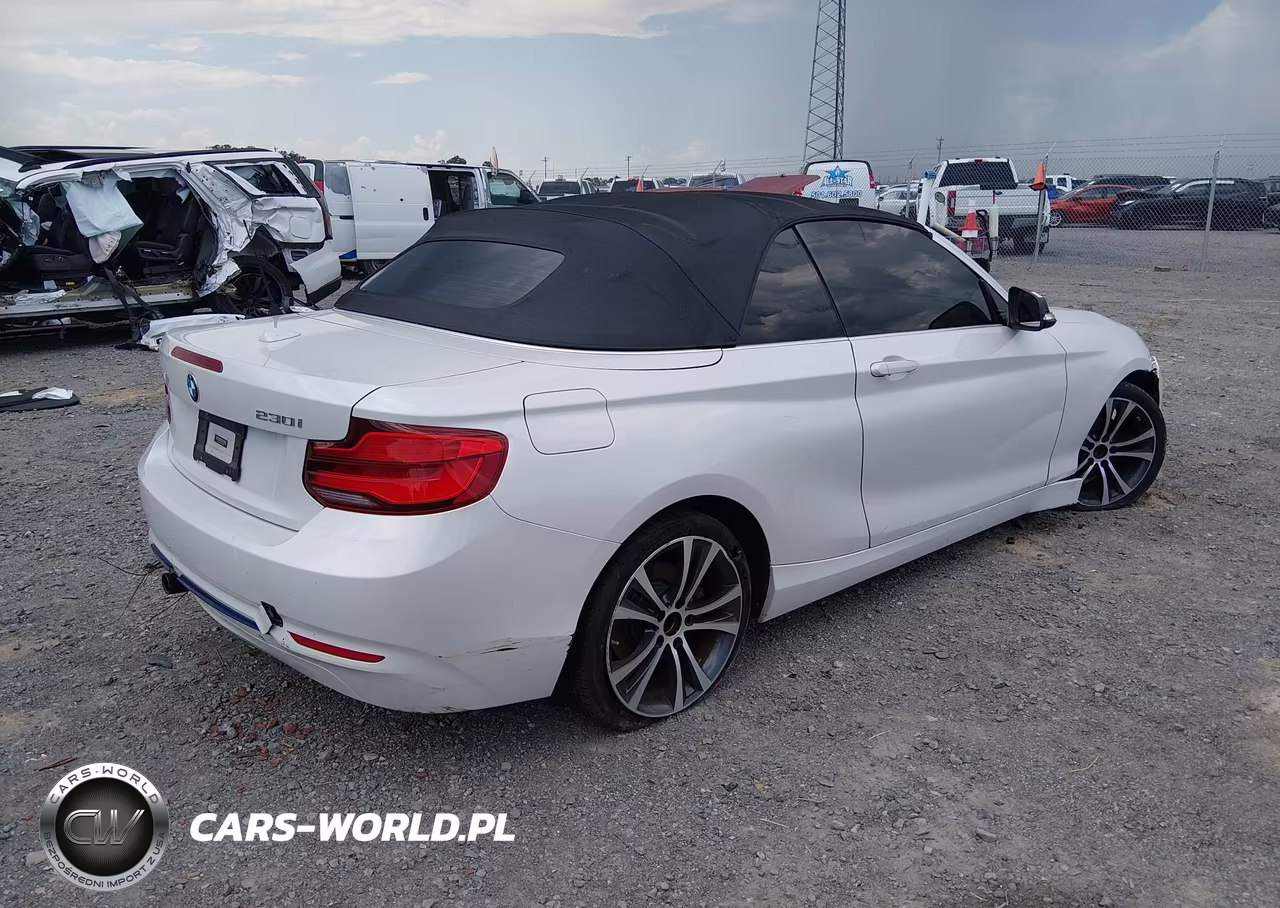 2018 BMW 230I VIN:WBA2M7C52JVA97588 - 4