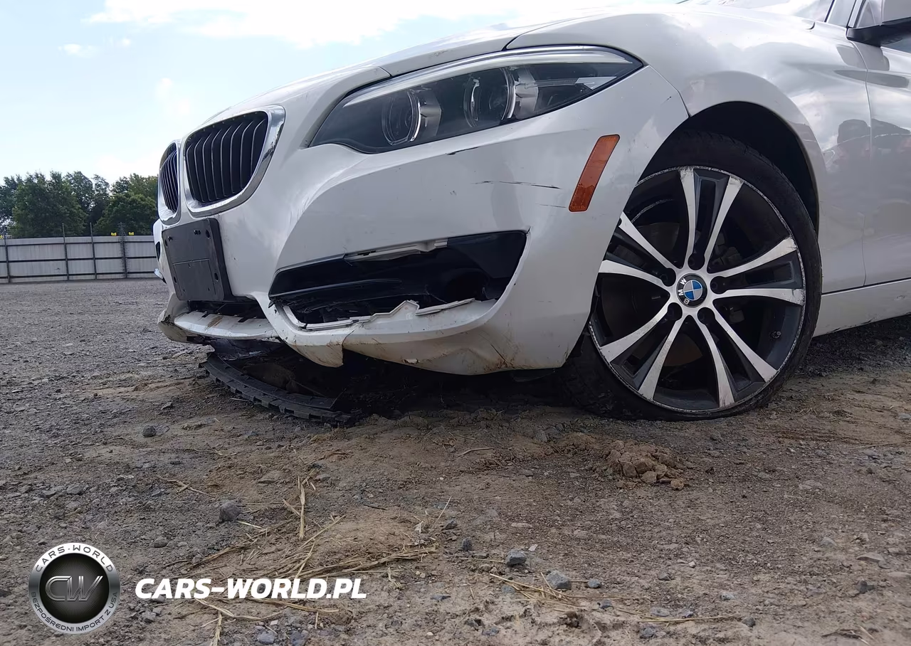 2018 BMW 230I VIN:WBA2M7C52JVA97588 - 6