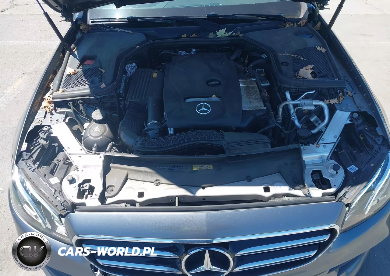2019 Mercedes-Benz E 300 VIN:WDDZF4JB5KA529735 - 10