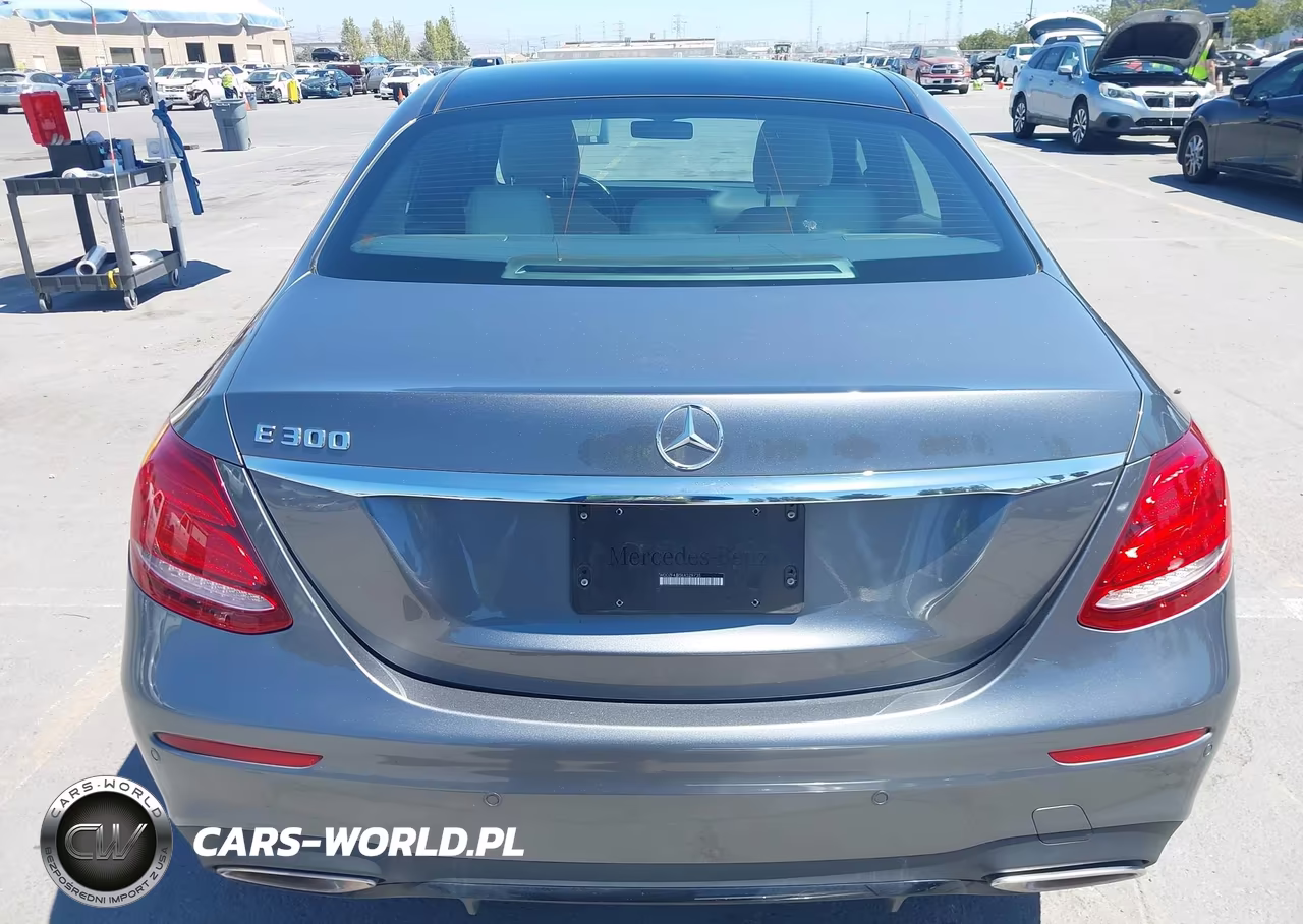 2019 Mercedes-Benz E 300 VIN:WDDZF4JB5KA529735 - 16