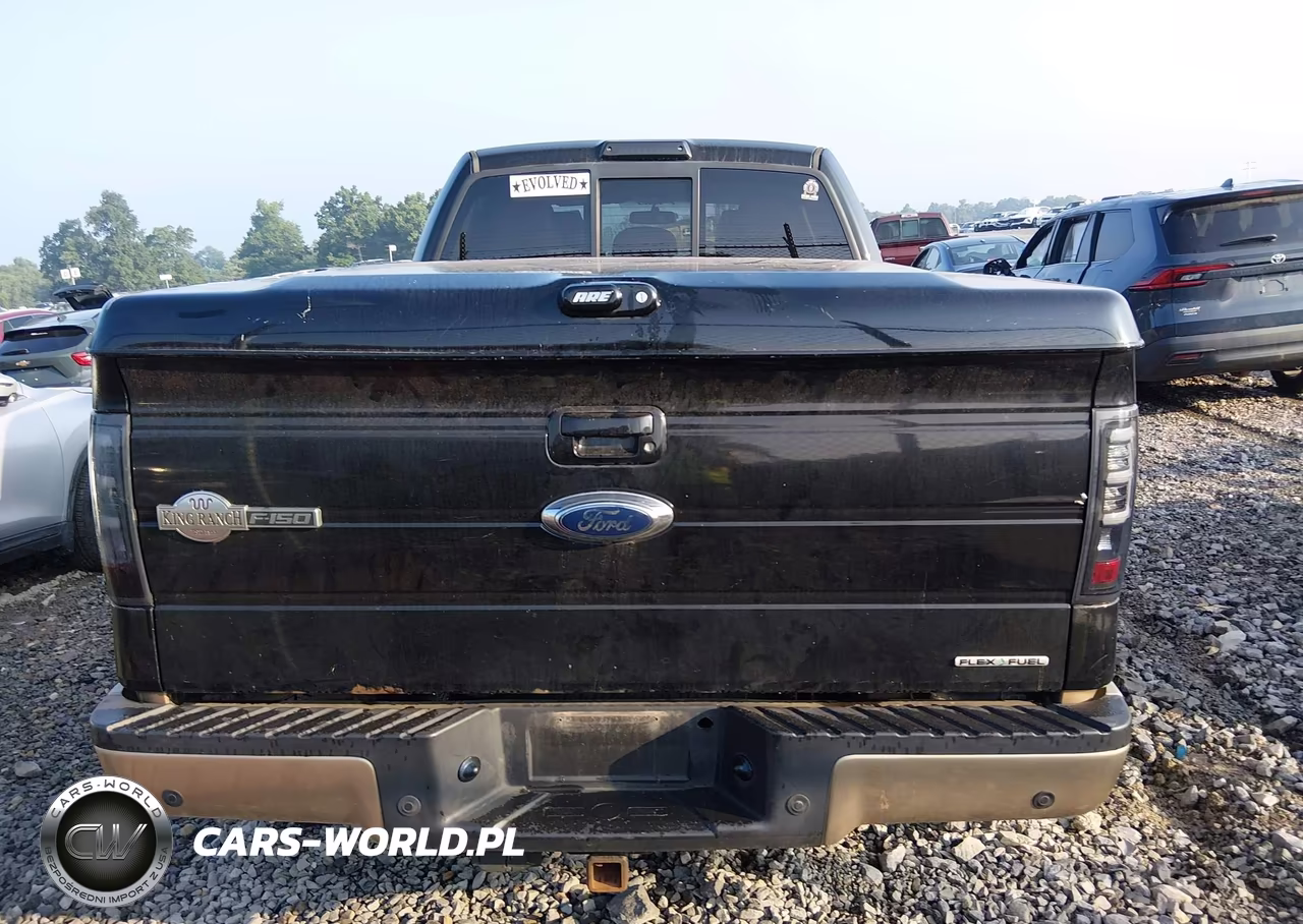 2011 Ford F-150 Fx4-King Ranch-Lariat-Platinum-Xl-Xlt VIN:1FTFW1EF9BKD78367 - 16