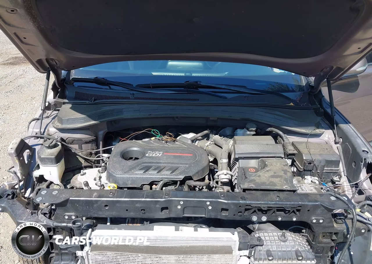 2020 Hyundai Santa Fe Sel 2.0T VIN:5NMS3CAA3LH207480 - 10