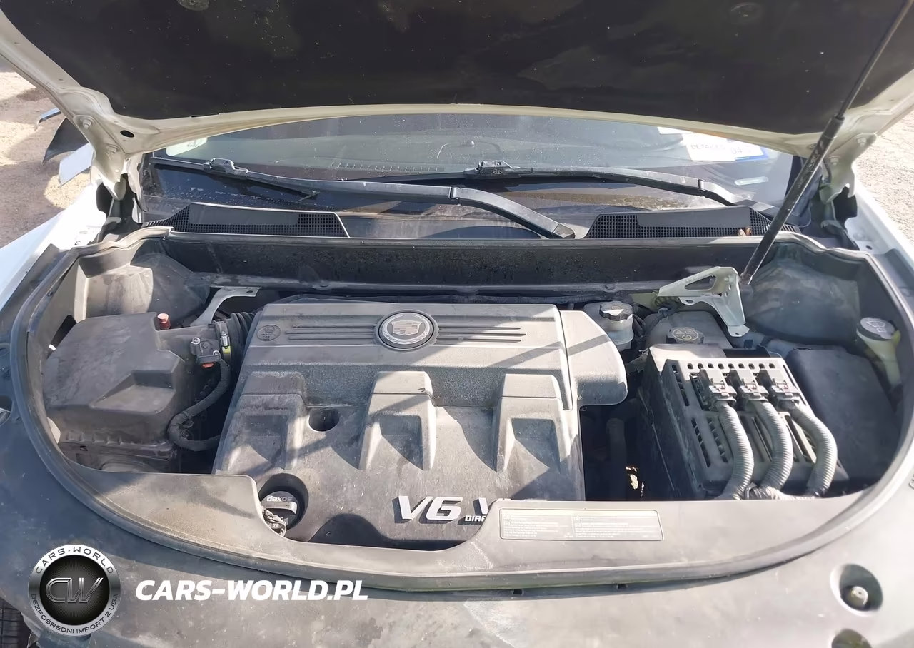 2014 Cadillac Srx Standard VIN:3GYFNAE36ES664124 - 10