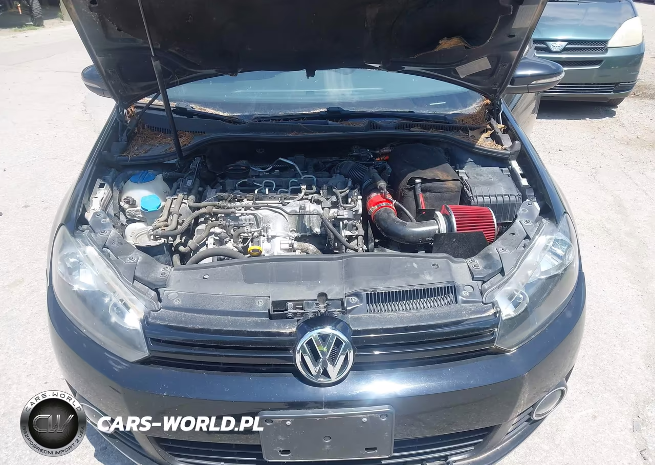 2014 Volkswagen Golf 2.0L Tdi VIN:WVWDM7AJ0EW003197 - 10