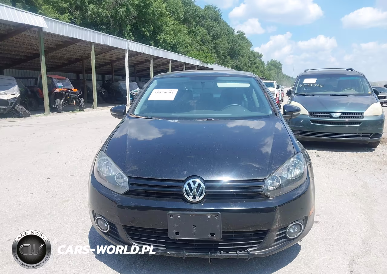 2014 Volkswagen Golf 2.0L Tdi VIN:WVWDM7AJ0EW003197 - 12