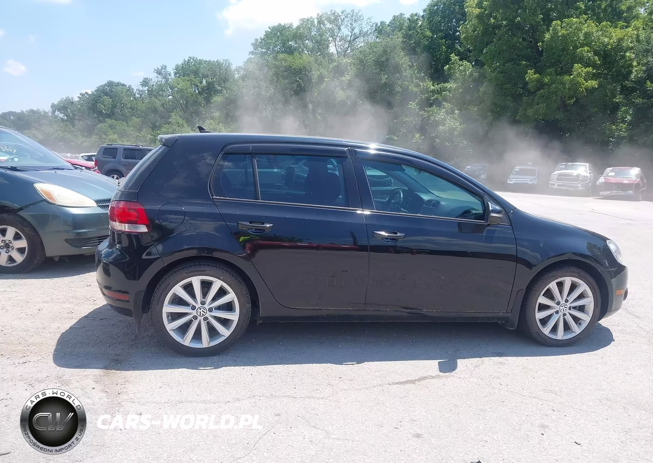 2014 Volkswagen Golf 2.0L Tdi VIN:WVWDM7AJ0EW003197 - 13