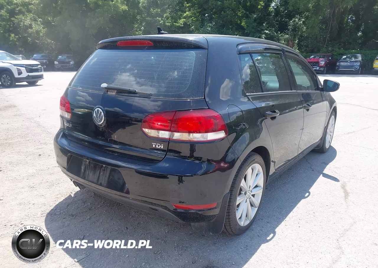 2014 Volkswagen Golf 2.0L Tdi VIN:WVWDM7AJ0EW003197 - 4