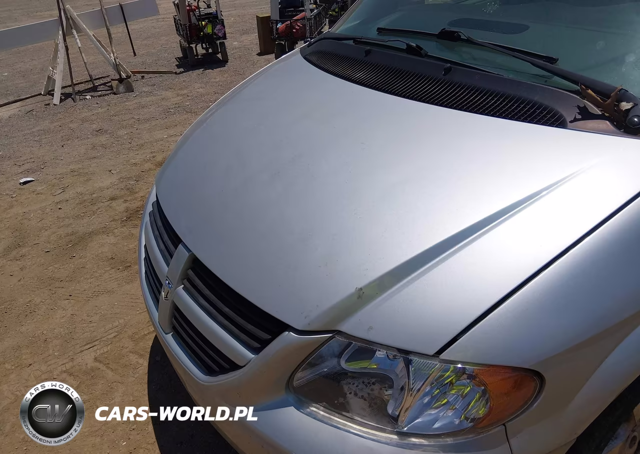 2006 Dodge Caravan Sxt VIN:1D4GP45R66B737633 - 6