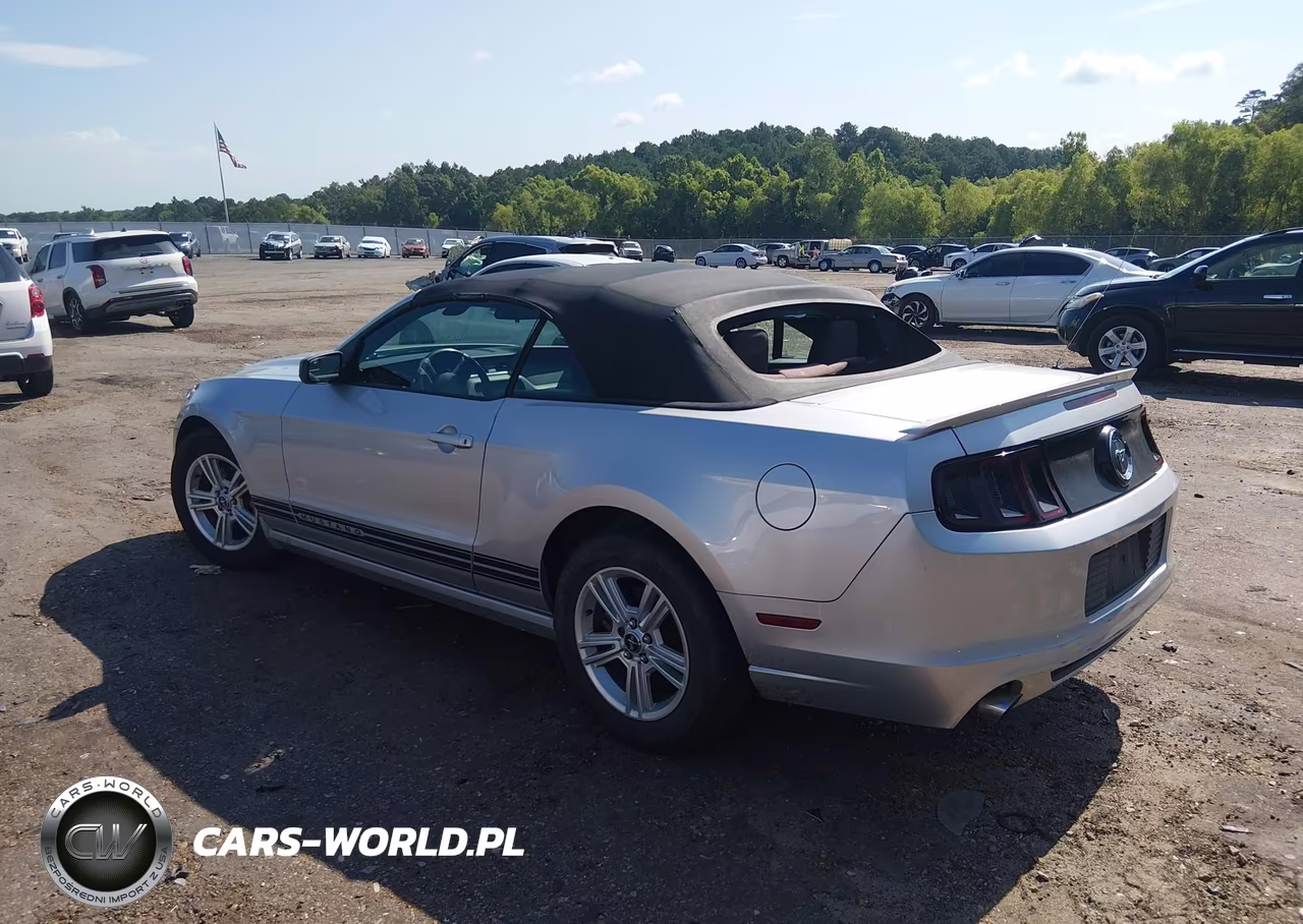 2013 Ford Mustang V6 VIN:1ZVBP8EM3D5219619 - 3