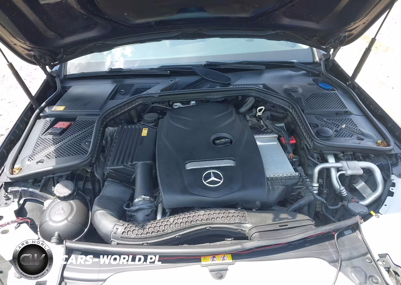2015 Mercedes-Benz C 300 4Matic VIN:55SWF4KBXFU008694 - 10