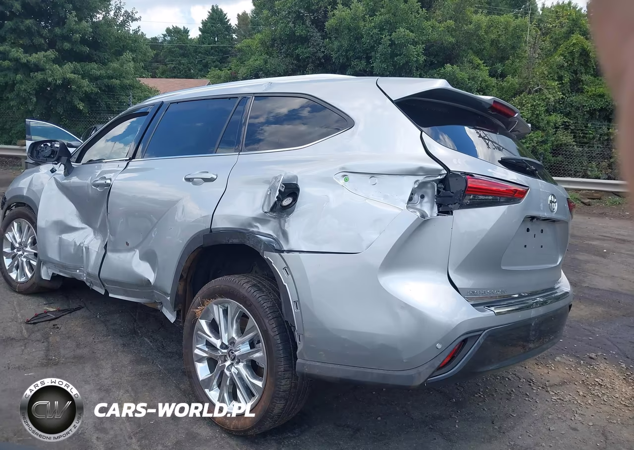 2020 Toyota Highlander Limited VIN:5TDYZRAH4LS024319 - 3