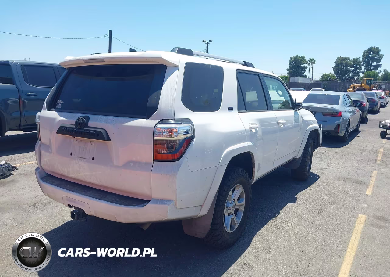 2019 Toyota 4Runner Sr5 Premium VIN:JTEBU5JR3K5713564 - 4