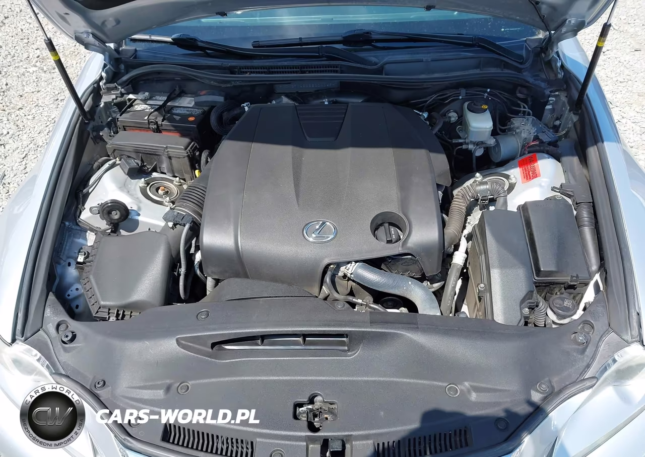 2014 Lexus Is 250 VIN:JTHCF1D22E5004069 - 10