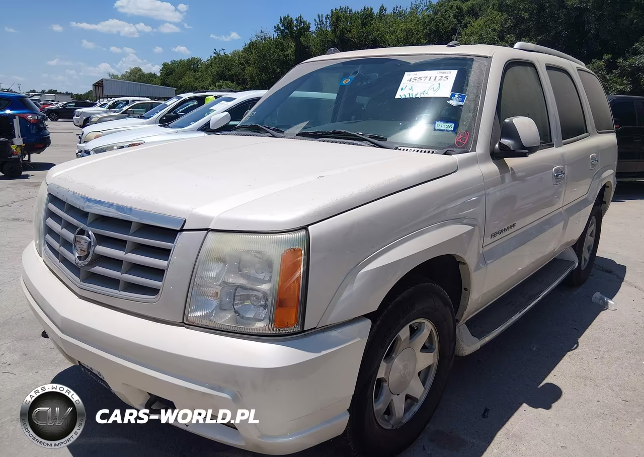 2004 Cadillac Escalade Standard VIN:1GYEC63T64R207560 - 2