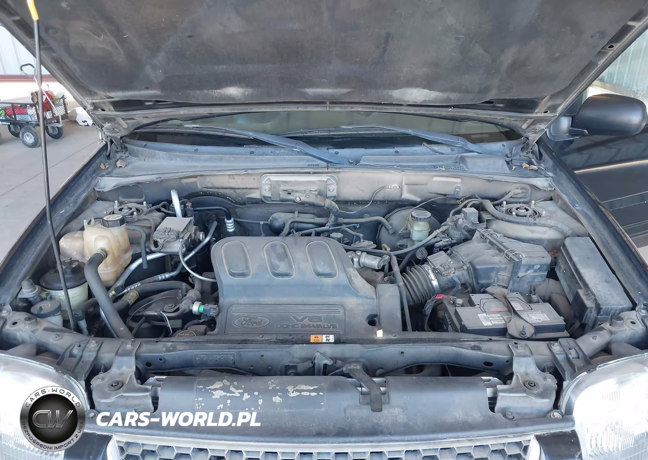 2003 Ford Escape Limited VIN:1FMCU04113KB81246 - 10