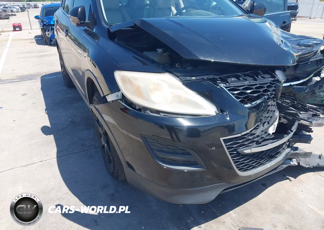 2010 Mazda Cx-9 Touring VIN:JM3TB2MA7A0217852 - 6