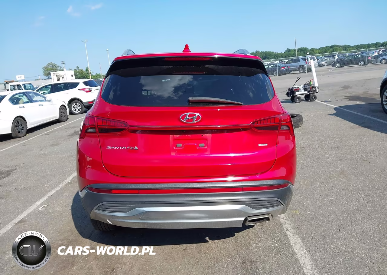 2021 Hyundai Santa Fe Sel VIN:5NMS3DAJ8MH362405 - 17