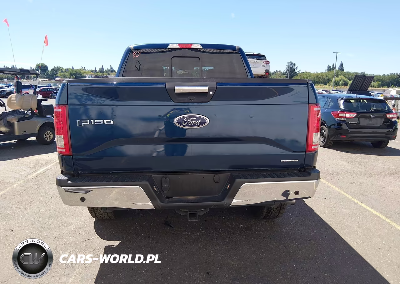 2016 Ford F-150 Xlt VIN:1FTEW1EFXGKF90424 - 17