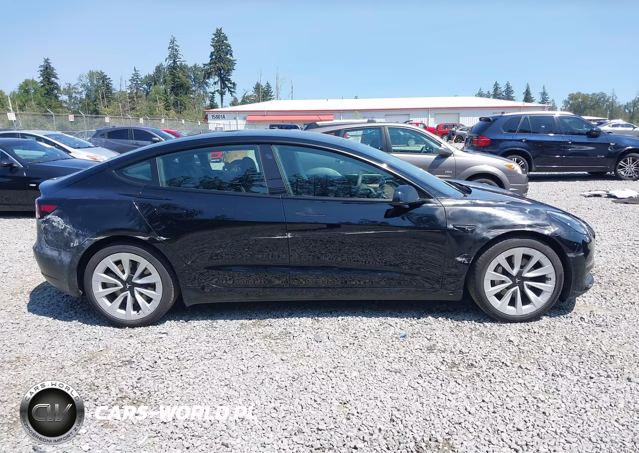 2022 Tesla Model 3 Long Range Dual Motor All-Wheel Drive VIN:5YJ3E1EB5NF290193 - 13