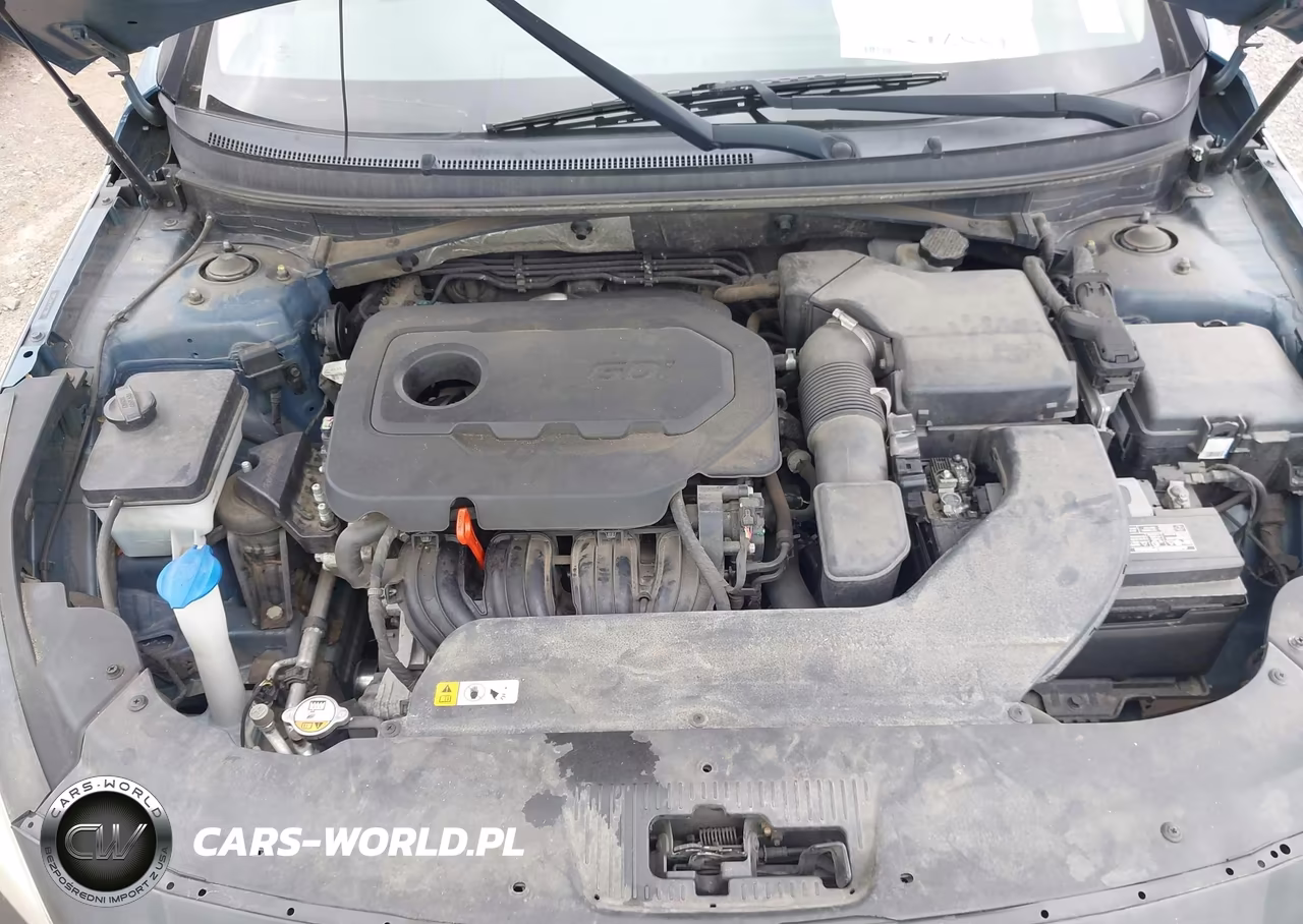 2015 Hyundai Sonata Se VIN:5NPE24AF7FH173987 - 10