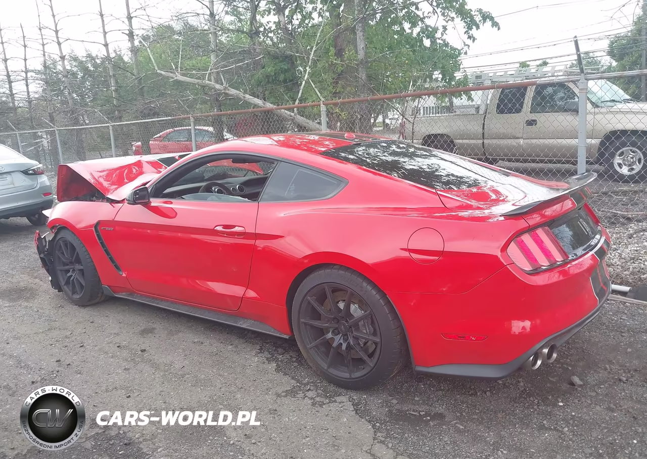 2017 Ford Shelby Gt350 VIN:1FA6P8JZ7H5526941 - 14