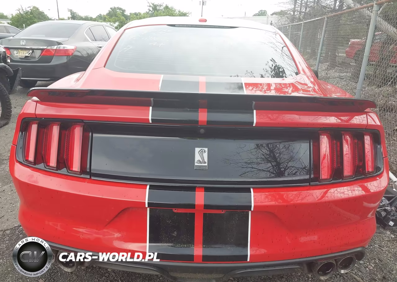 2017 Ford Shelby Gt350 VIN:1FA6P8JZ7H5526941 - 16